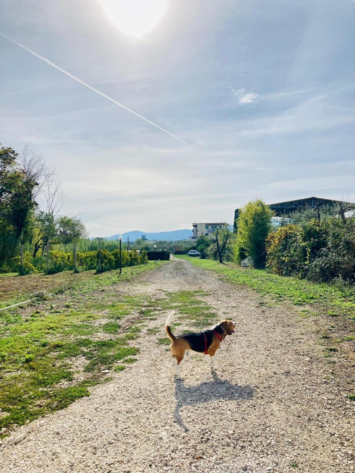 Villa Bubu, Appartamento Country-Chic Rzym Zewnętrze zdjęcie