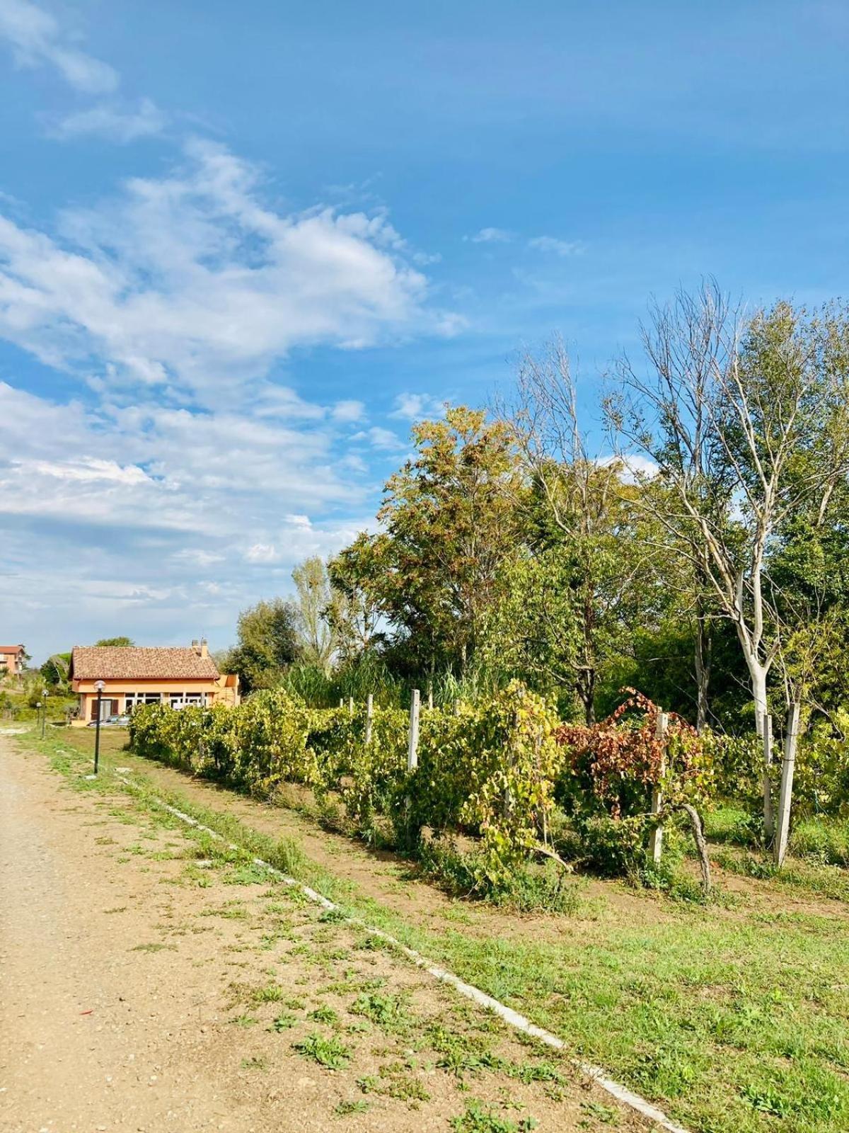 Villa Bubu, Appartamento Country-Chic Rzym Zewnętrze zdjęcie