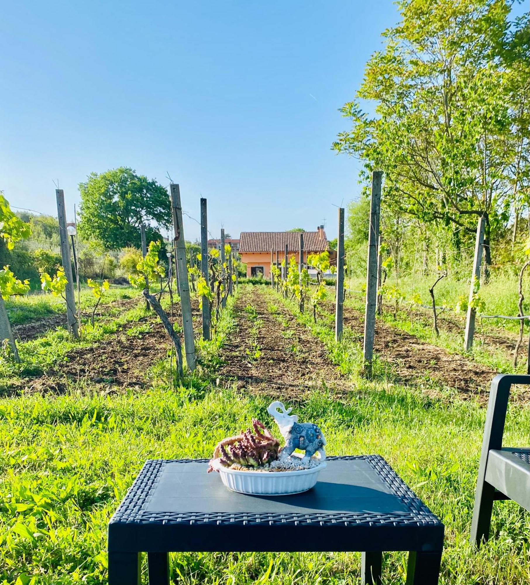 Villa Bubu, Appartamento Country-Chic Rzym Zewnętrze zdjęcie