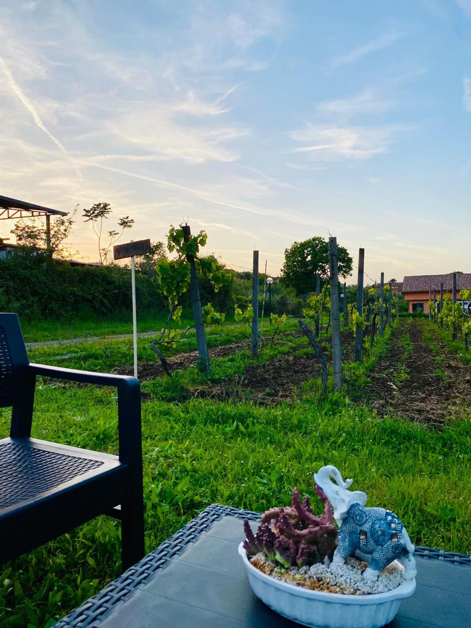Villa Bubu, Appartamento Country-Chic Rzym Zewnętrze zdjęcie