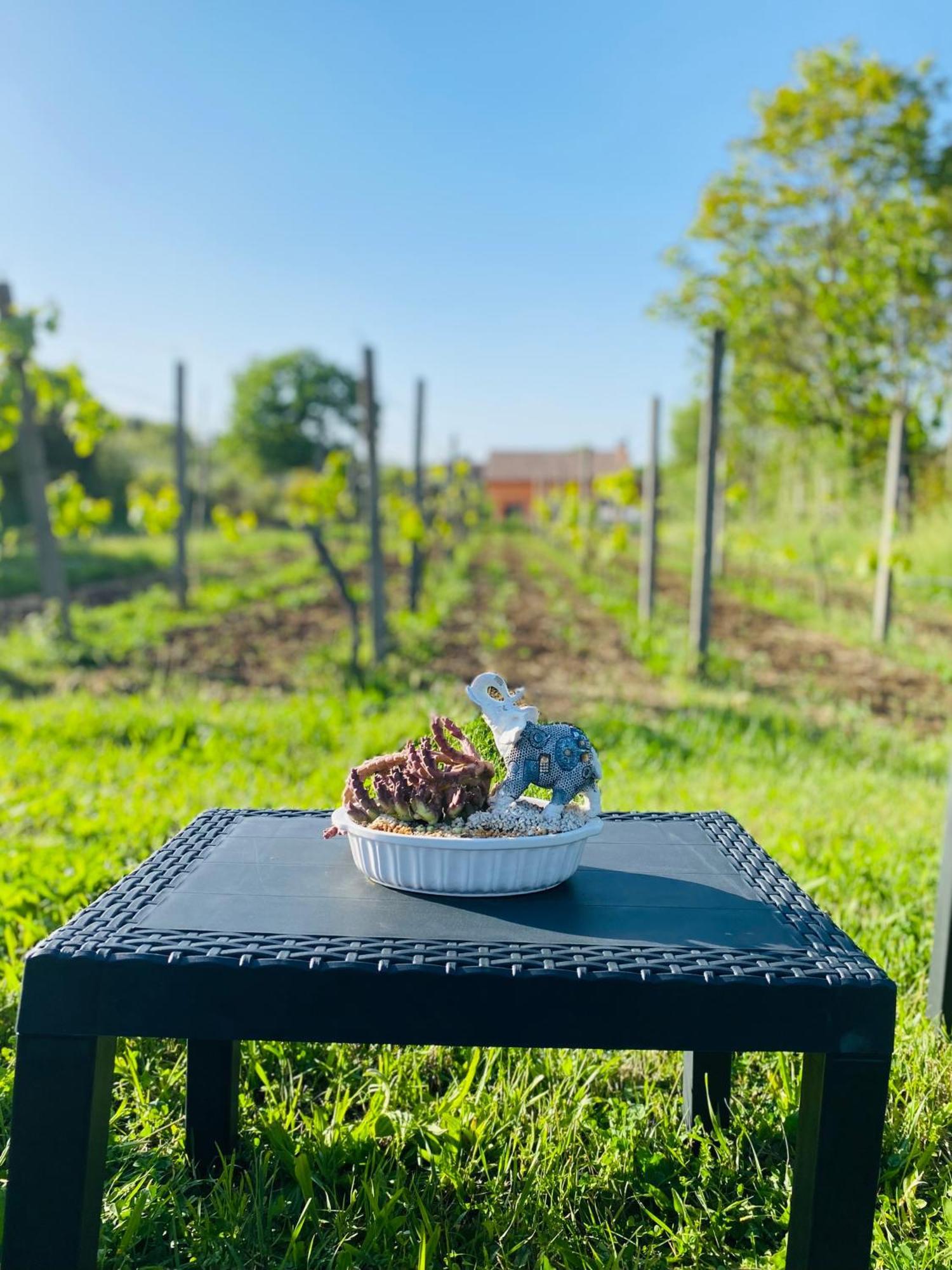 Villa Bubu, Appartamento Country-Chic Rzym Zewnętrze zdjęcie